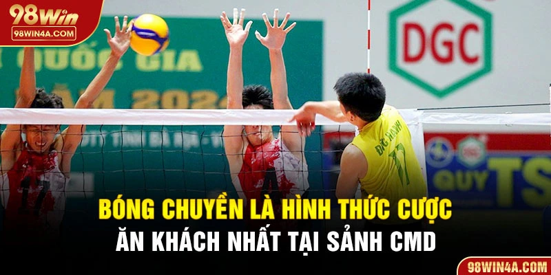 Bóng chuyền là hình thức cược đông nhất tại sảnh CMD